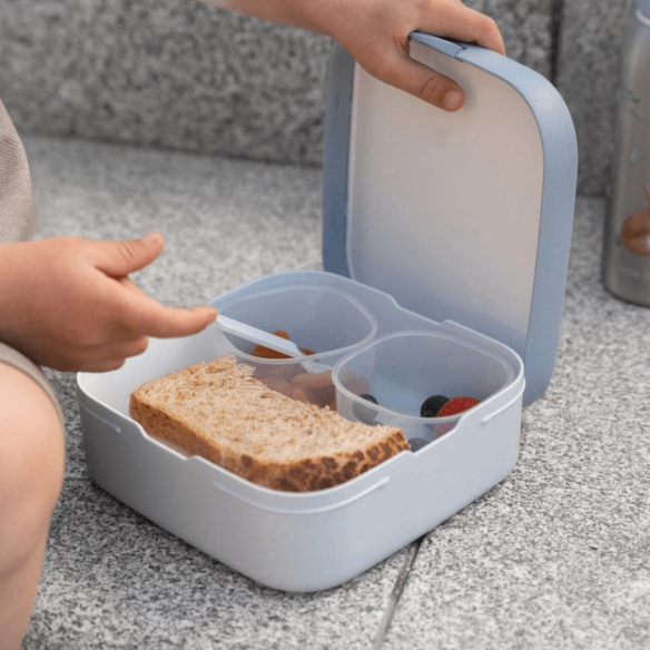 Caja Bento Campus Grande Forest Friends Personalizable