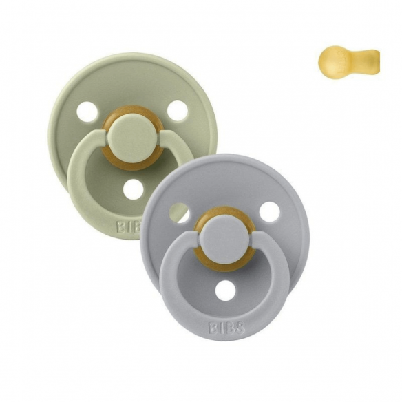 Chupetes bibs Colour Sage / Cloud