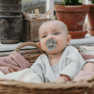 Chupetes bibs Colour Sage / Cloud 2