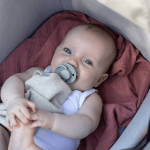 Chupetes bibs De Lux Ivory / Sage 2