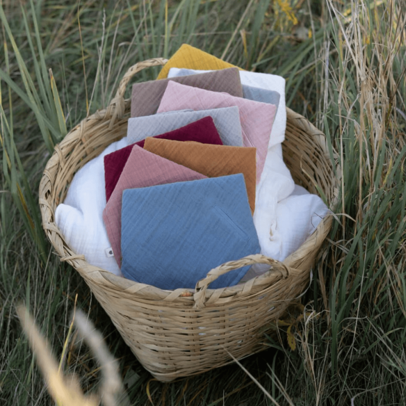 Seca babitas BIB Elderberry