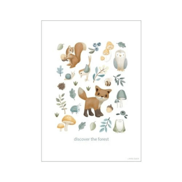 Póster doble cara infantil Forest Wonders con ilustraciones del bosque